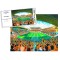 Molineux Stadium Fine Art Jigsaw Puzzle  - Wolverhampton Wanderers FC